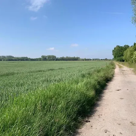 In With Sea Views Lägenhet Nieuwpoort