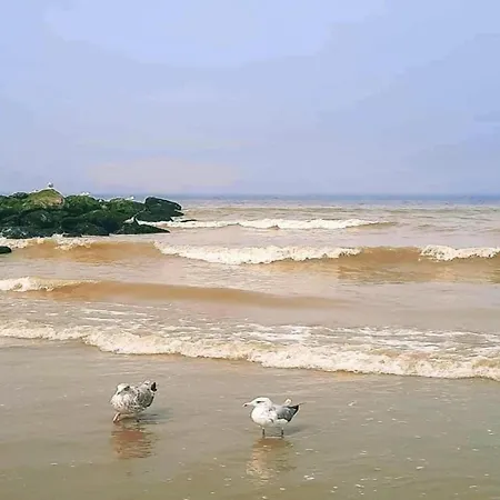 Yperlee 0401 With Beautiful Sea View