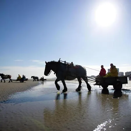 In With Sea Views Apartment