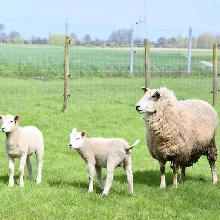 In With Sea Views Lägenhet