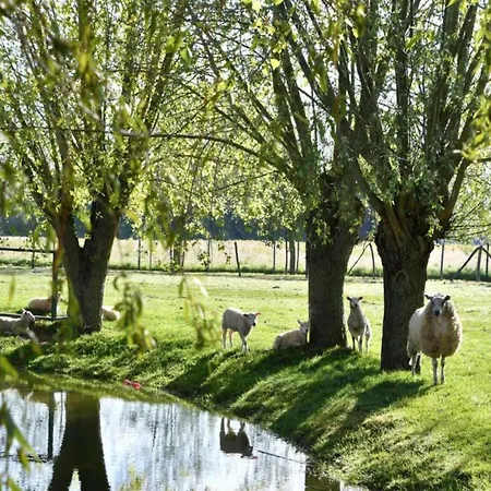 Lägenhet In With Sea Views